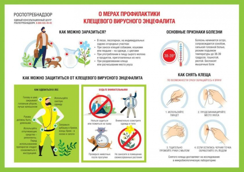 Клещевой вирусный энцефалит — Город