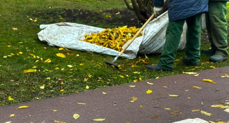Осужденный в Петербурге попросил ужесточить наказание из-за панических атак — Город