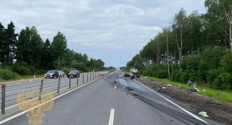 Уголовное дело возбудили в Можайске по факту смертельного ДТП — Происшествия