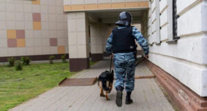 В Карагандинской области на службу заступила робособака с ИИ — Технологии
