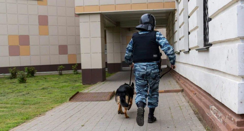 В Карагандинской области на службу заступила робособака с ИИ — Технологии